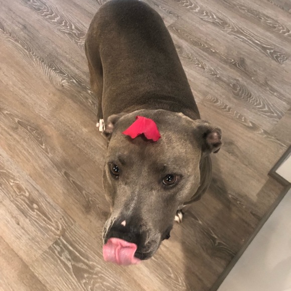 Meet your Posher, Tiffany - Picture 3 of 5